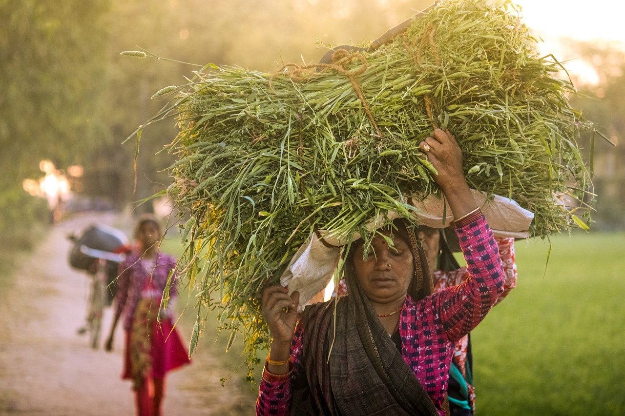 woman, working women, work